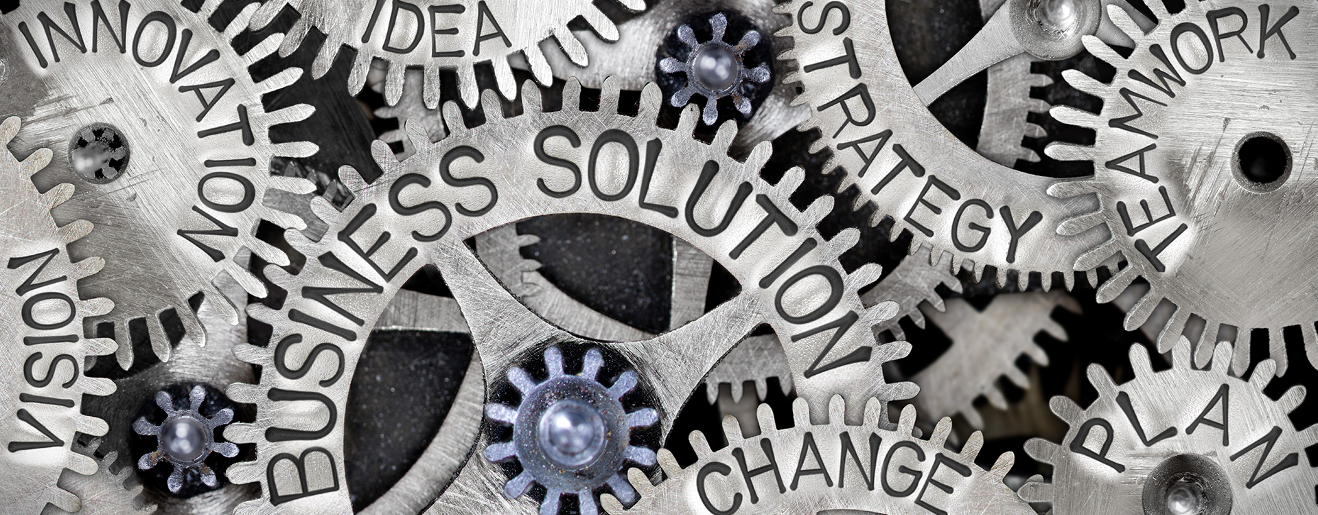 Strategic Planning | Hygenix, Inc.