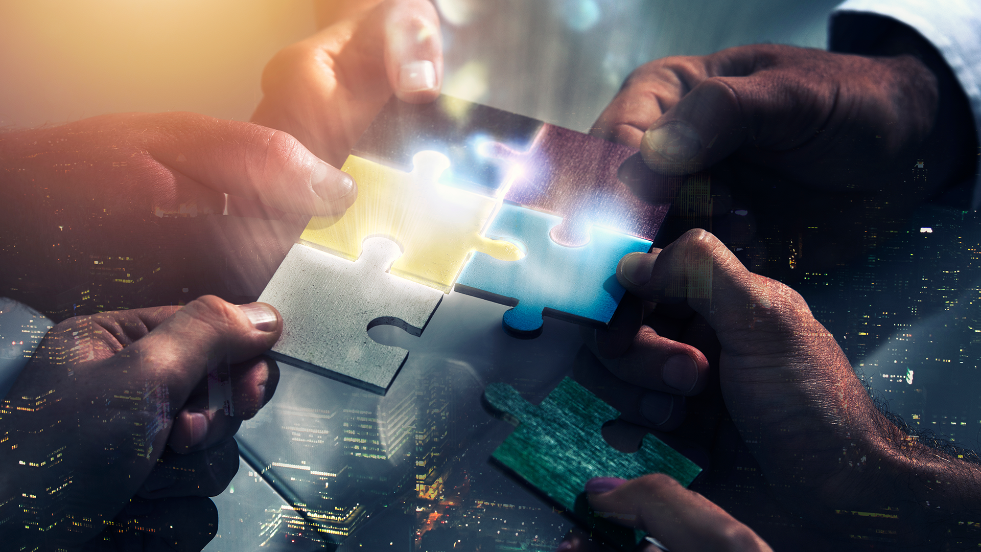 Integration Planning | Hygenix, Inc.