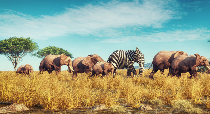 Stand Out In the Crowd - Value Propositions | Hygenix, Inc.