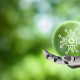 How to Thrive in Pharma’s Sustainability Shift | Hygenix, Inc.
