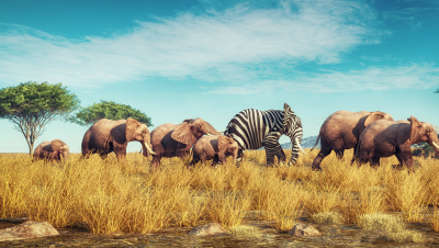 Stand Out In the Crowd - Value Propositions | Hygenix, Inc.